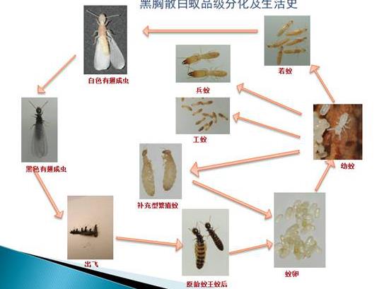搜狗截图24年03月19日0927_1.jpg