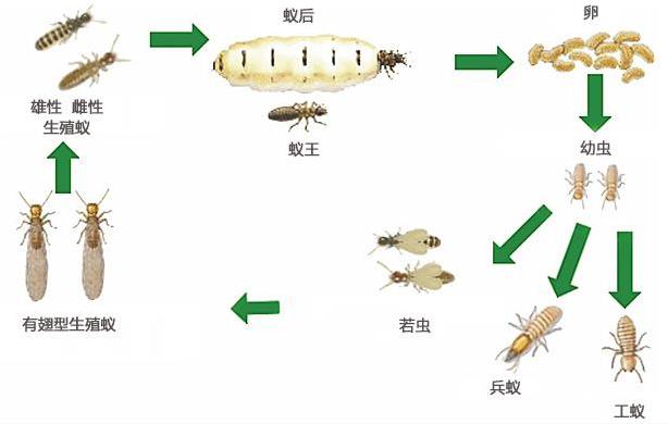搜狗截图24年03月19日0927_5.jpg