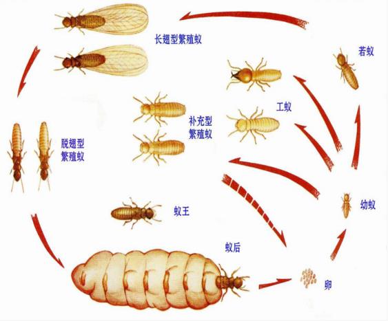 搜狗截图24年03月19日0927_3.jpg